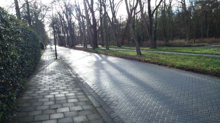 Zon breekt door op Pompstationweg