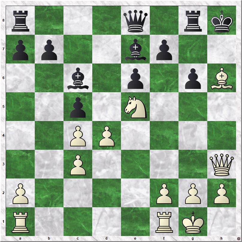 Diagram 1 Koks-Spitsbaard