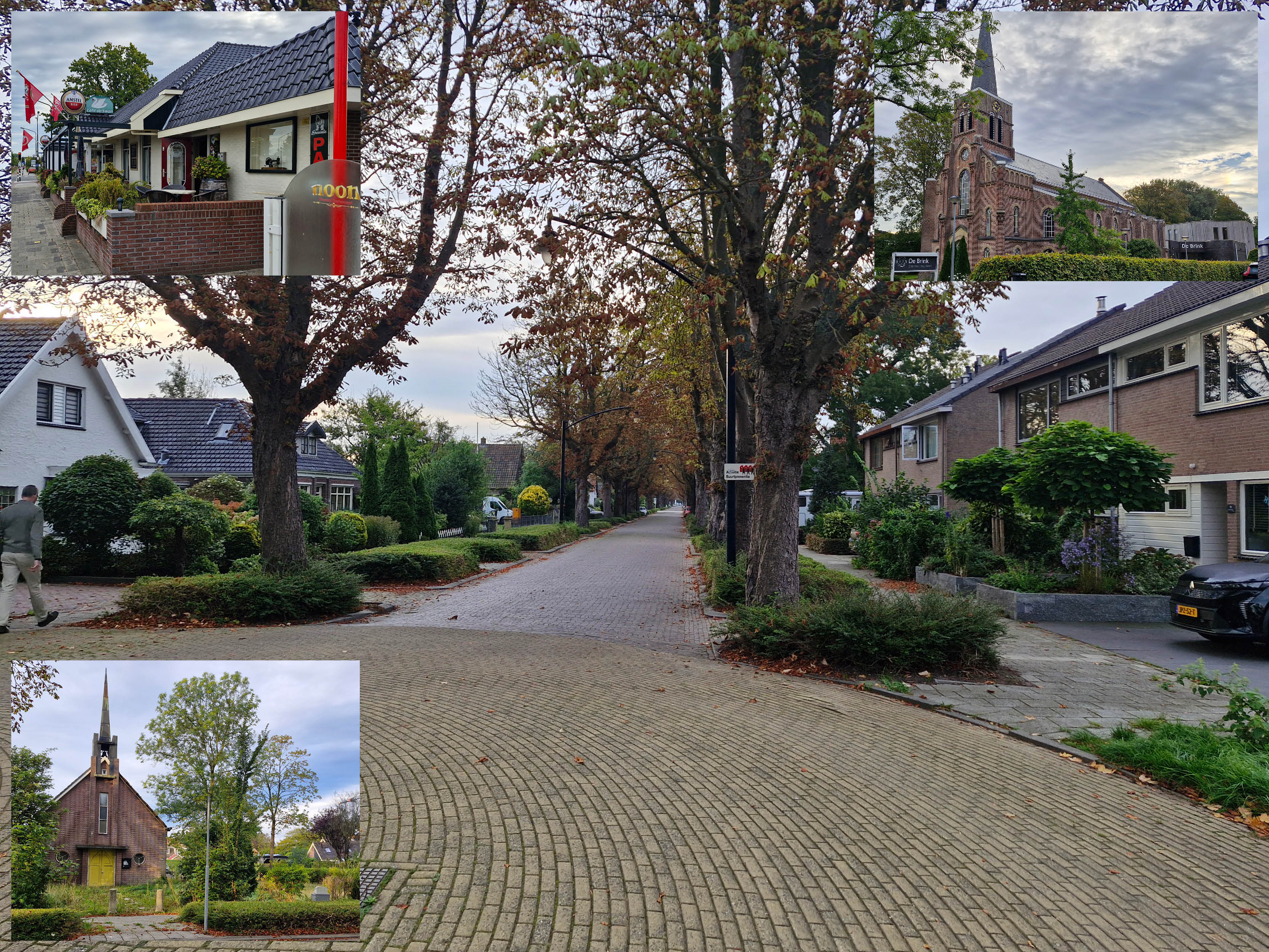 bomenwijk